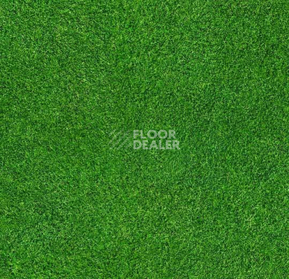Ковролин ForboFlotex Vision Image 000369 Grass фото 1 | FLOORDEALER